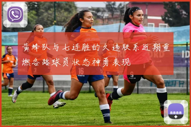 黄蜂队与七连胜的久违联系近期重燃各路球员状态神勇表现