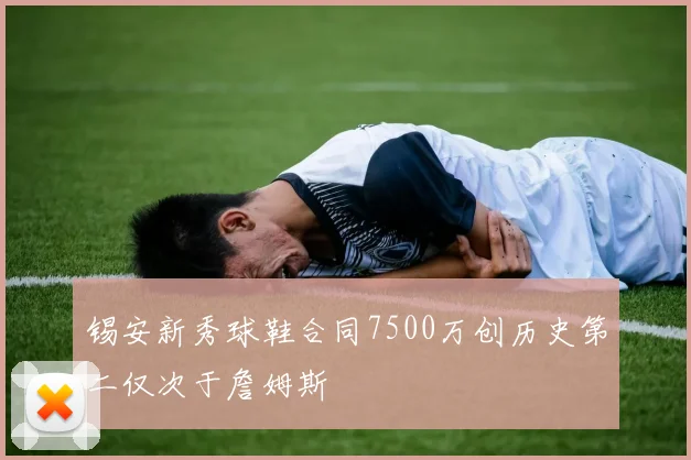 锡安新秀球鞋合同7500万创历史第二仅次于詹姆斯